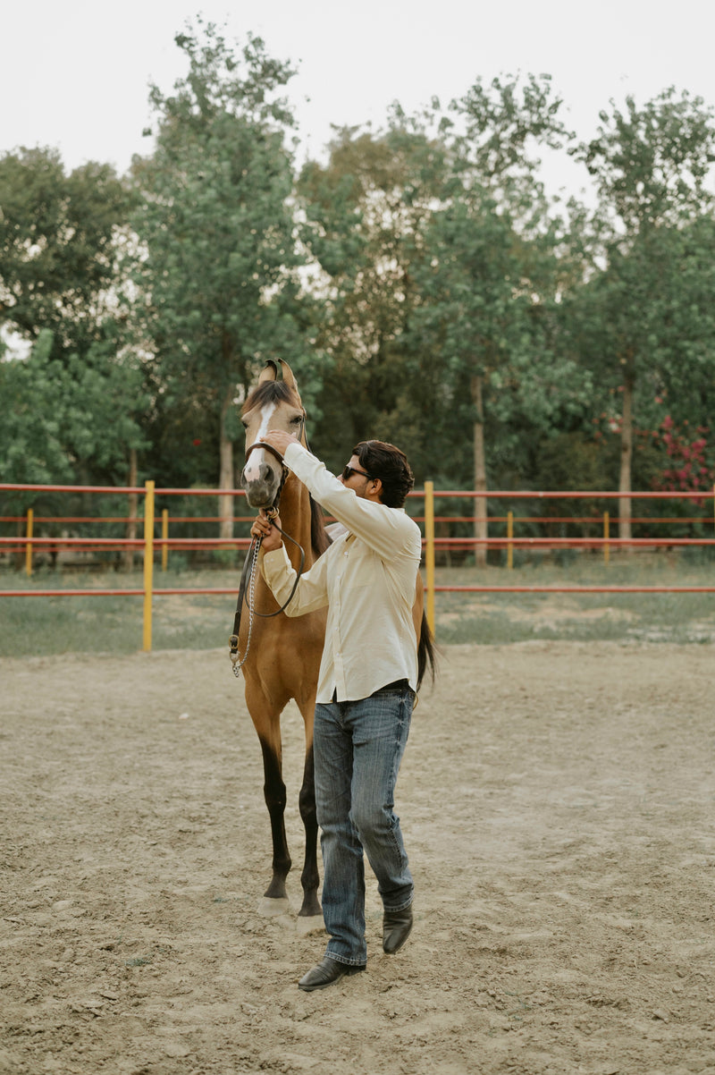 Butternote linen  Shirt