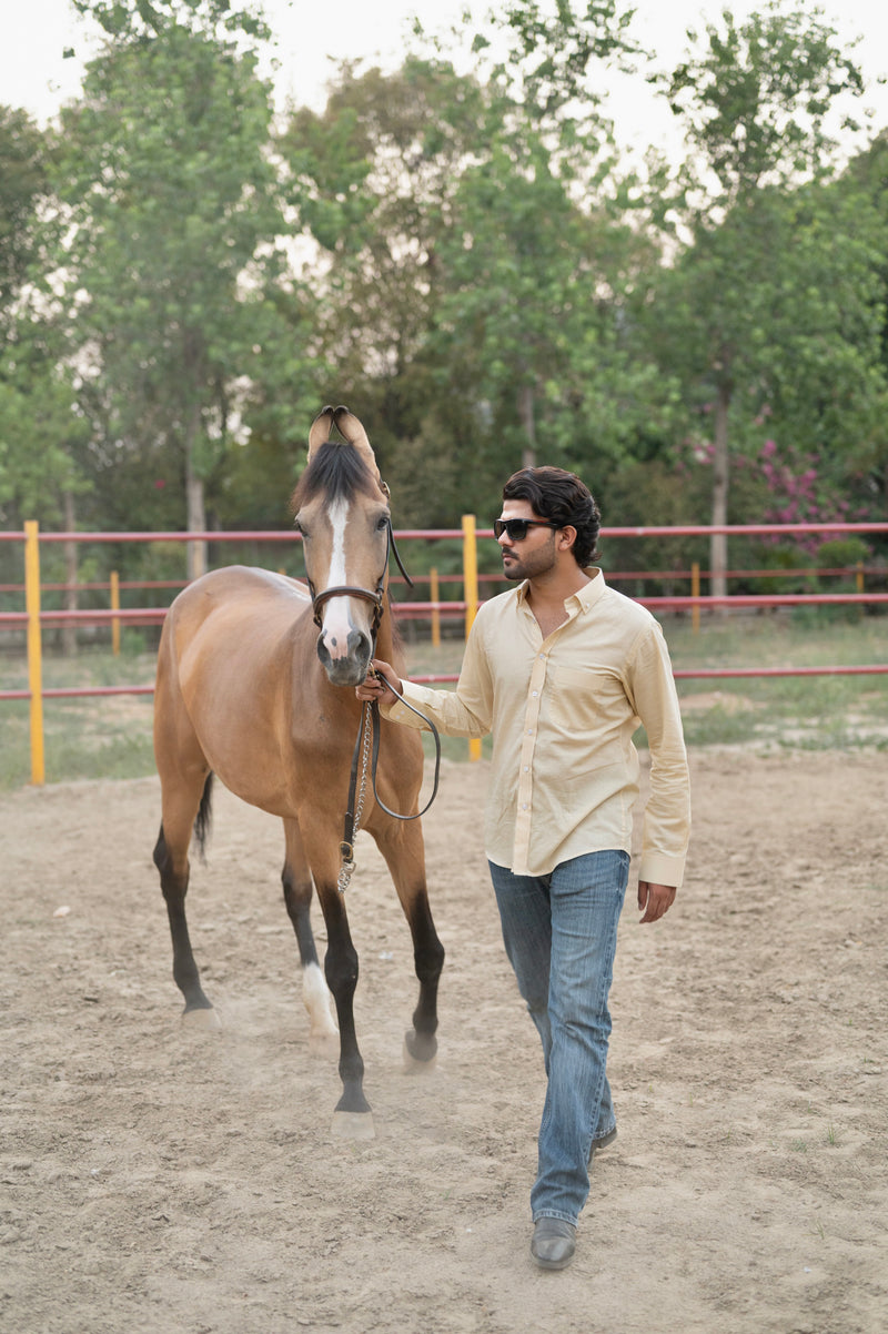 Butternote linen  Shirt